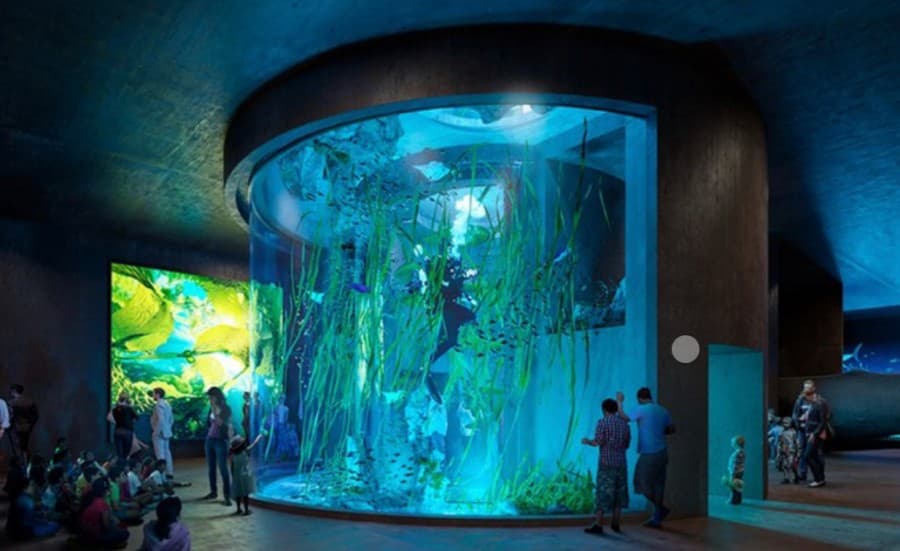 Proyecto de infraestructura protegido con impermeabilizante Penetron: Acuario Mar de Cortés